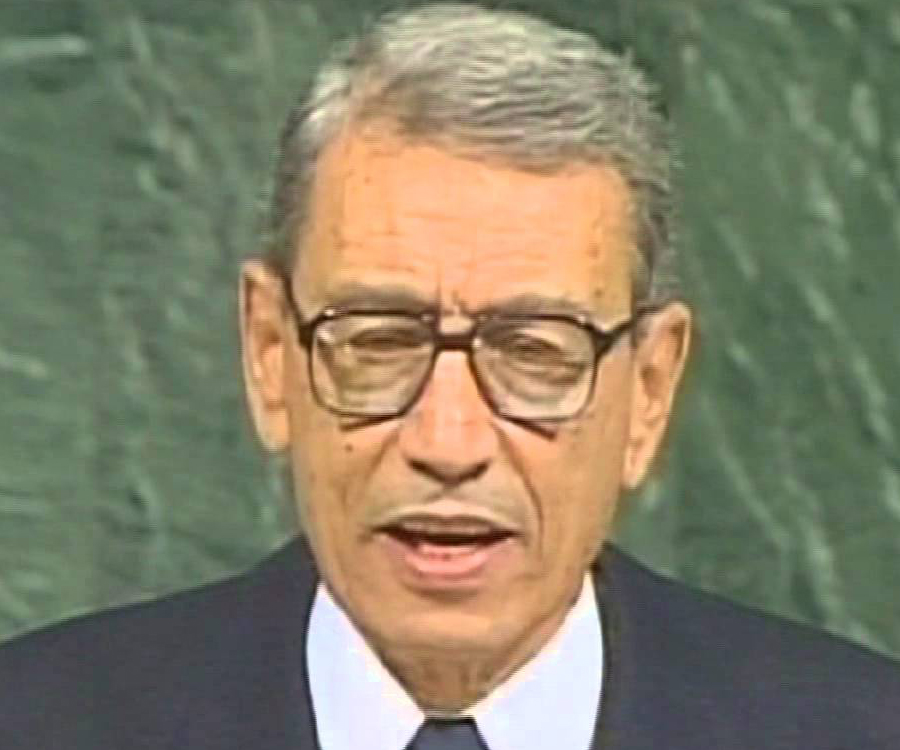 Boutros Boutros-Ghali Biography - Childhood, Life Achievements & Timeline