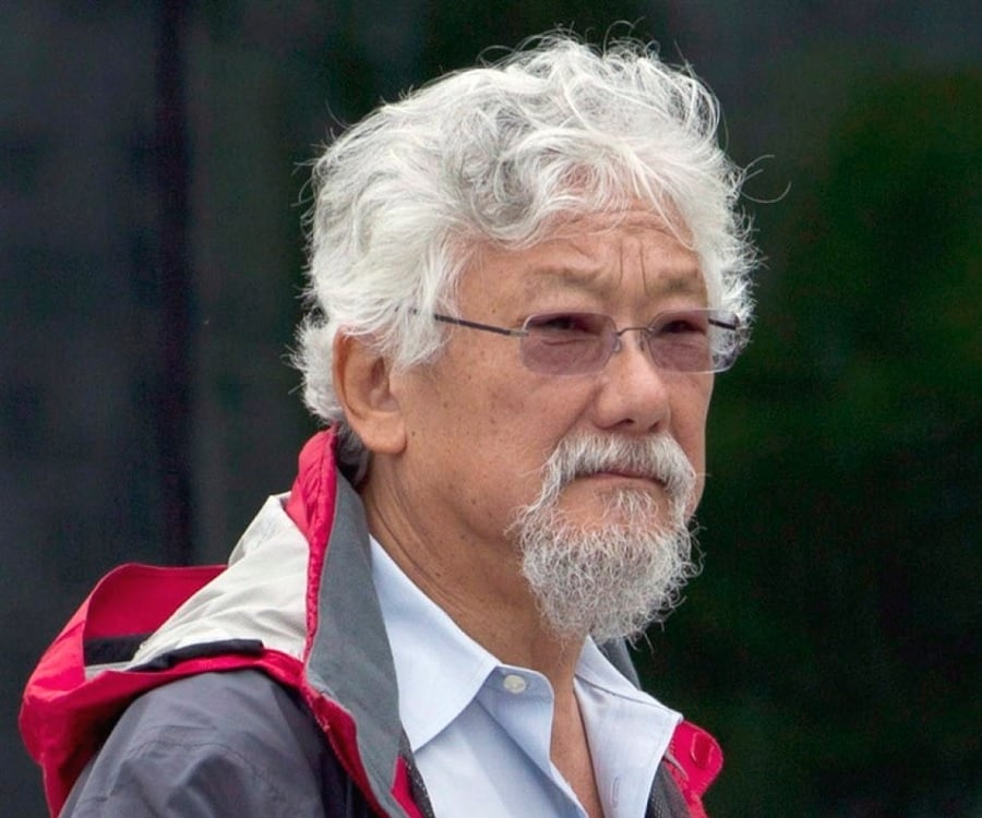 David suzuki essay ancestors the genetic source