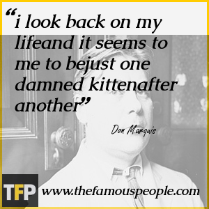 i look back on my lifeand it seems to me to bejust one damned kittenafter another i look back on my lifeand it seems to me to bejust one damned kittenafter another