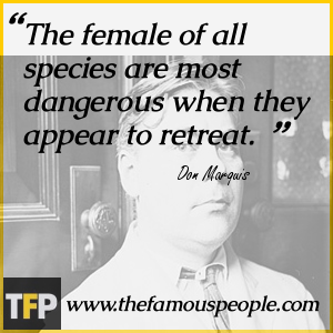 The female of all species are most dangerous when they appear to retreat. The female of all species are most dangerous when they appear to retreat.