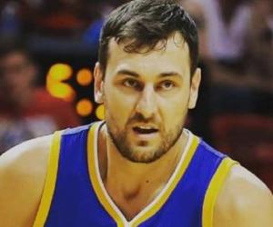 Andrew Bogut