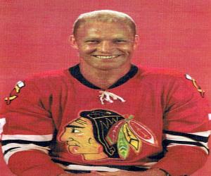 Bobby Hull Bobby Hull