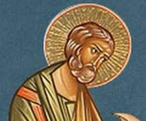 Cerinthus Cerinthus