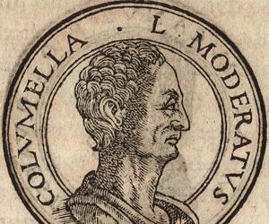 Columella Columella