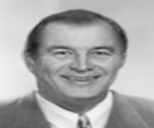 David A. Kolb David A. Kolb