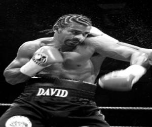 David Haye David Haye