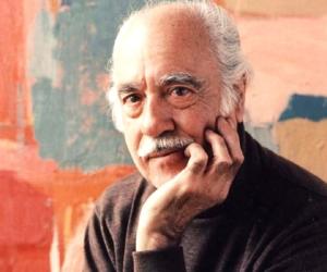 Esteban Vicente Esteban Vicente