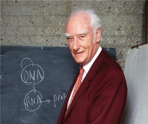 Francis Crick Biography - Childhood, Life Achievements & Timeline
