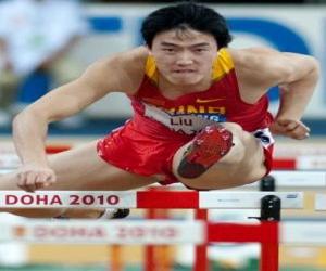 Liu Xiang Liu Xiang
