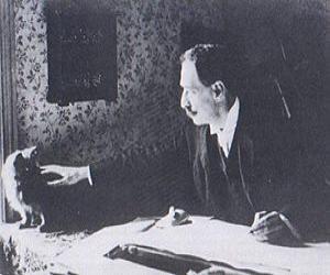 Louis Wain Louis Wain