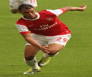 Marouane Chamakh Marouane Chamakh
