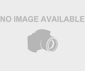 Mollie Patricia Panter-Downes Mollie Patricia Panter-Downes