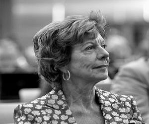 Neelie Kroes Neelie Kroes