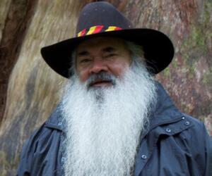 Pat Dodson