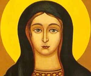 Pelagia Pelagia