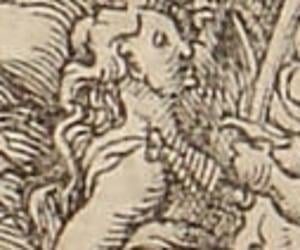 Philomela Philomela