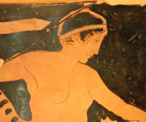 Scylla Scylla