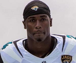 T. J. Yeldon T. J. Yeldon
