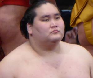 Terunofuji Haruo