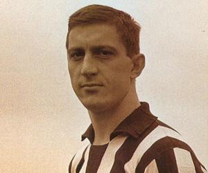 Velibor Vasović Velibor Vasović