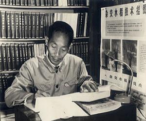Yuan Longping Yuan Longping