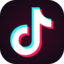 Tiktok Link