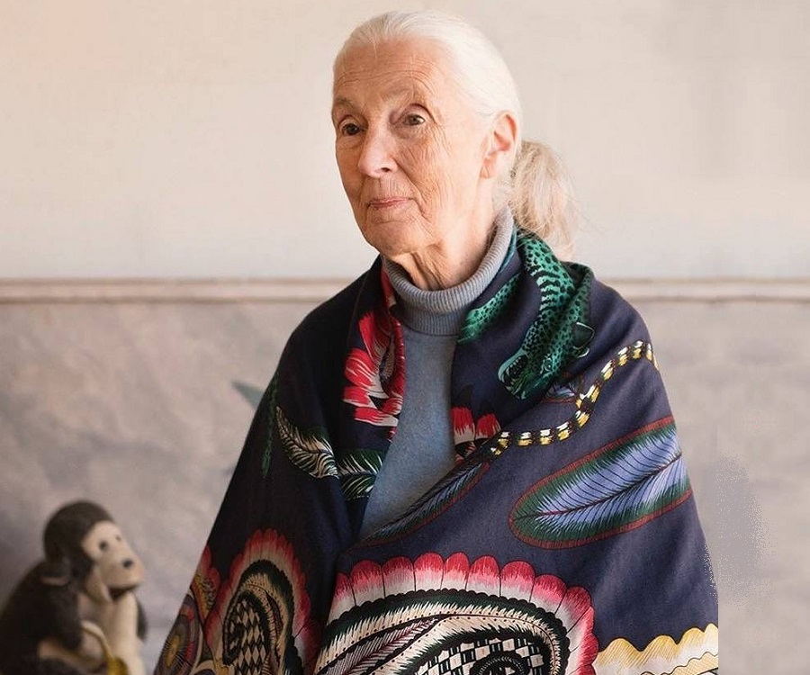 Jane Goodall