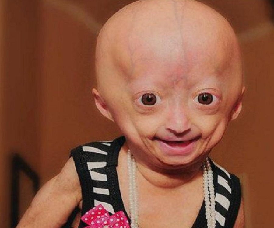 Rose adalia Adalia Rose