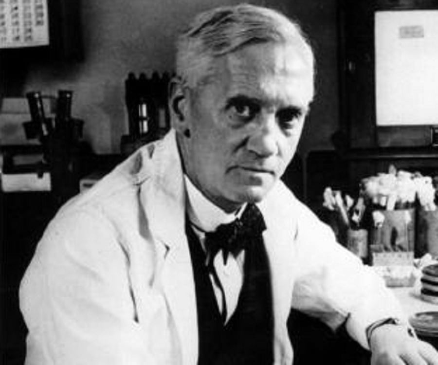 Alexander fleming biography childhood, life achievements & timeline British school fleming