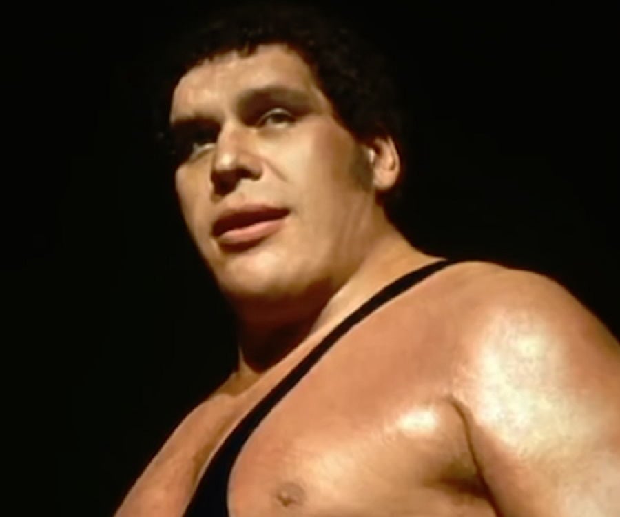 a&e biography andre the giant