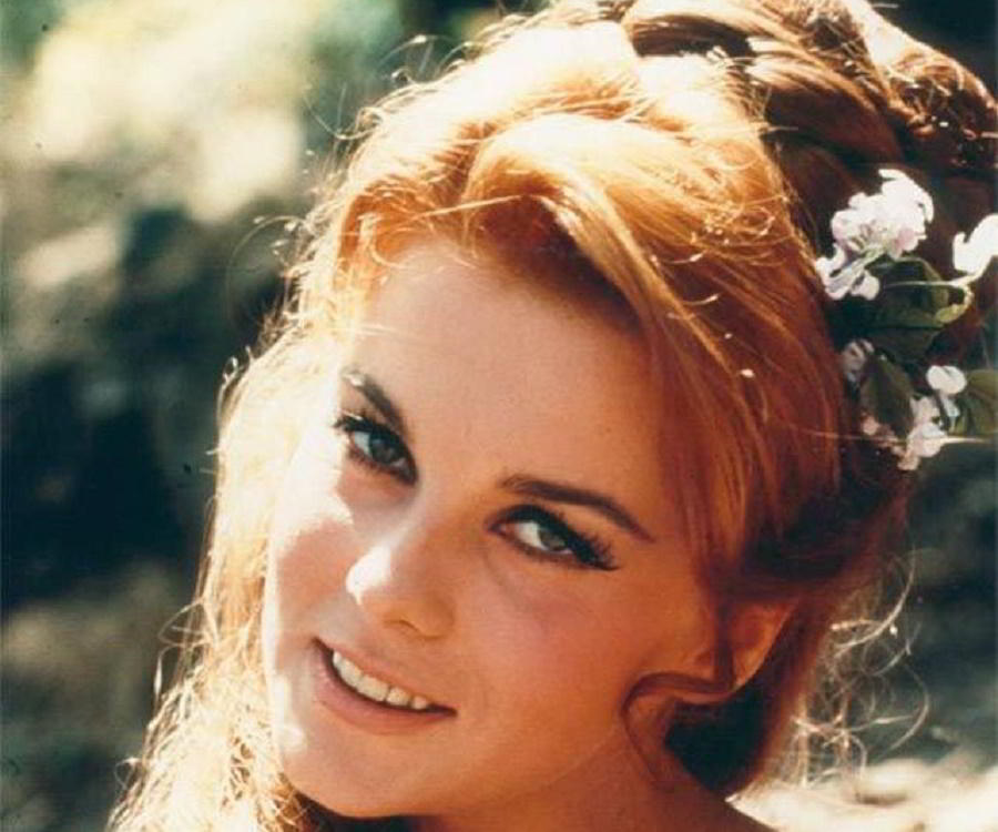 Ann-Margret Biography - Facts, Childhood, Family Life & Achievements