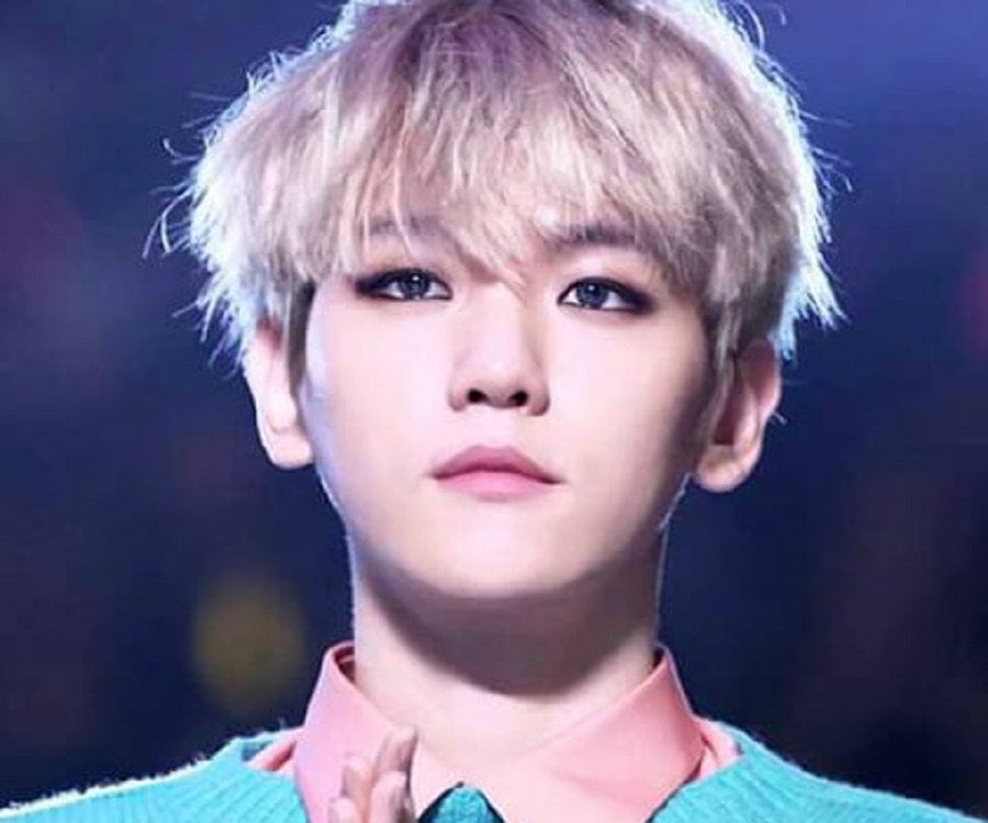 Baekhyun (Byun Baek-hyun) Biography – Facts, Childhood, Family Life of ...