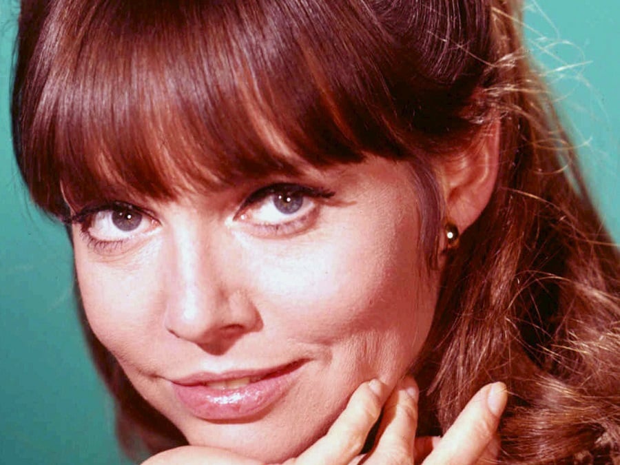 Barbara Feldon Biography - Childhood, Life Achievements 