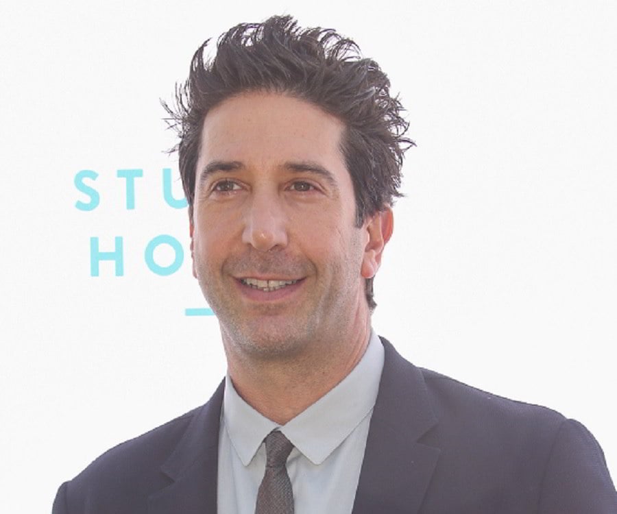 David Schwimmer Biography - Facts, Childhood, Family Life & Achievements