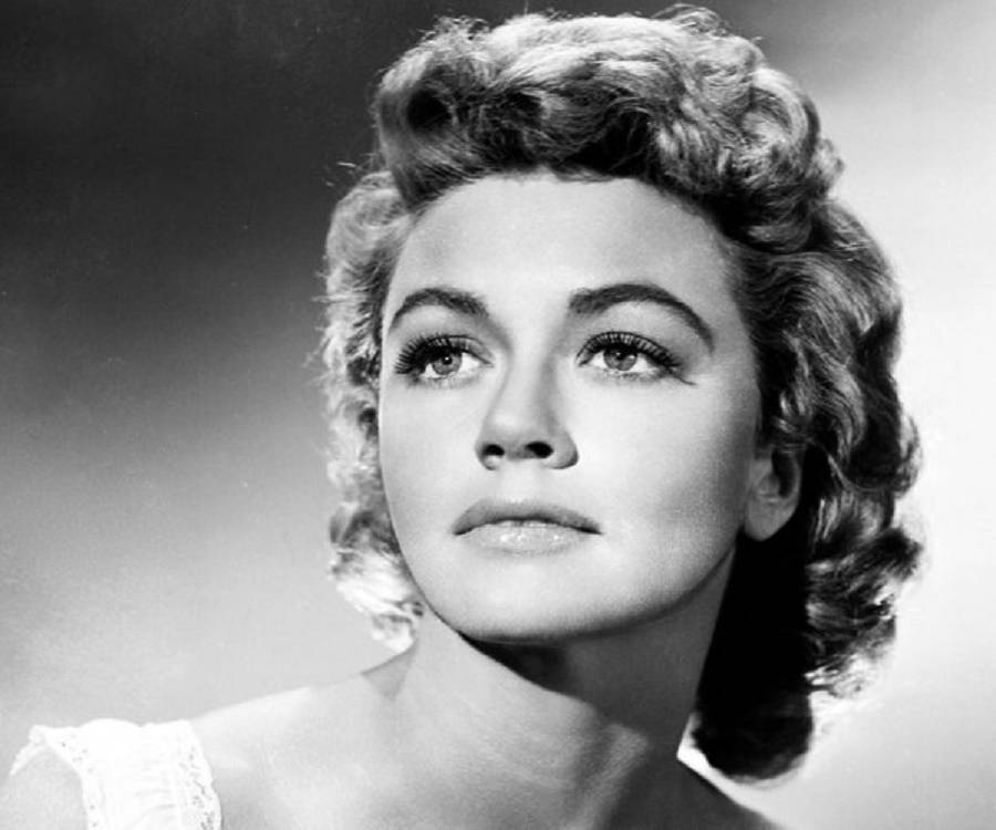 Slice of Cheesecake: Dorothy Malone, pictorial
