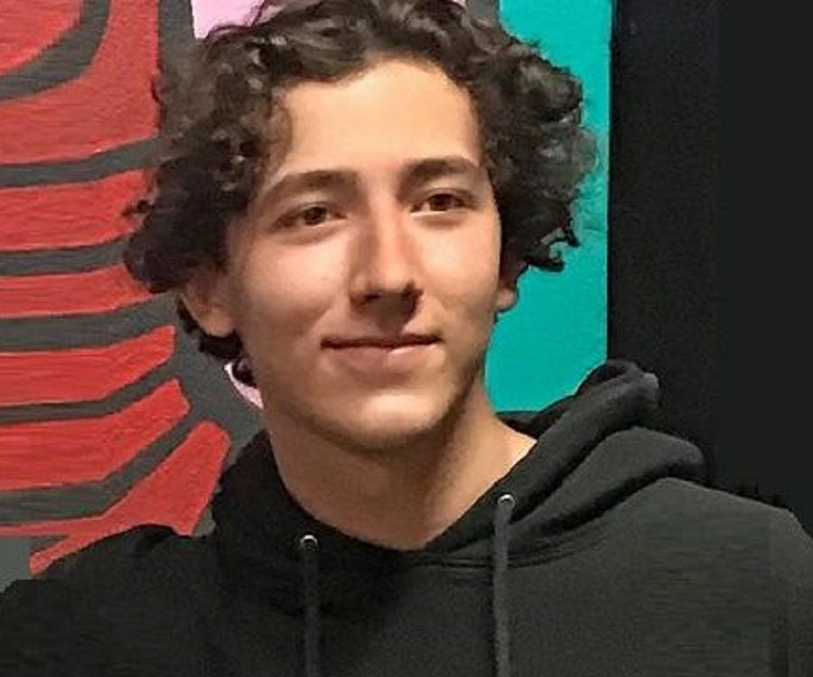 frankie jonas with blue hair