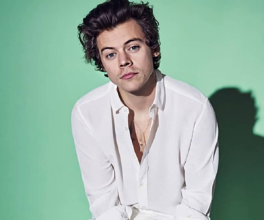 Harry Styles Biography - Facts, Childhood, Family Life & Achievements