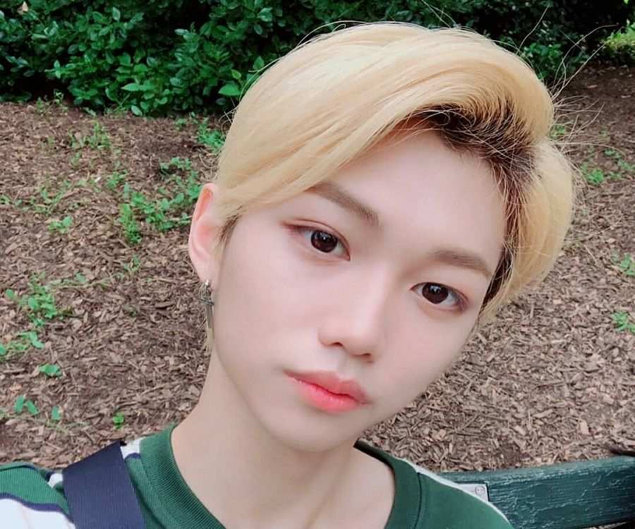 Lee Felix ( Lee Yong-bok) - Bio, Facts, Family Life of K-Pop Singer