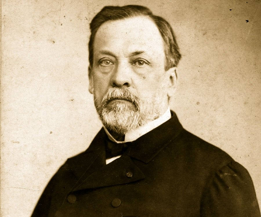 louis pasteur biography in english