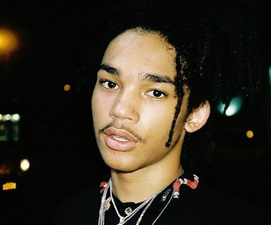 Luka Sabbat - Bio, Facts, Family Life of Model