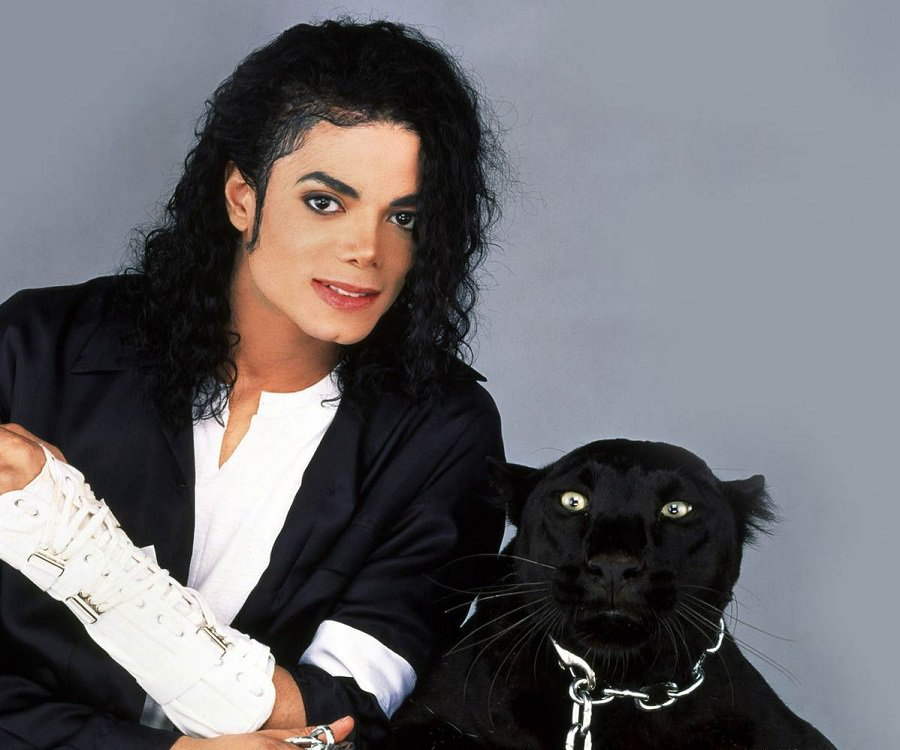 Michael Jackson Biography - Facts, Childhood, Family Life & Achievements