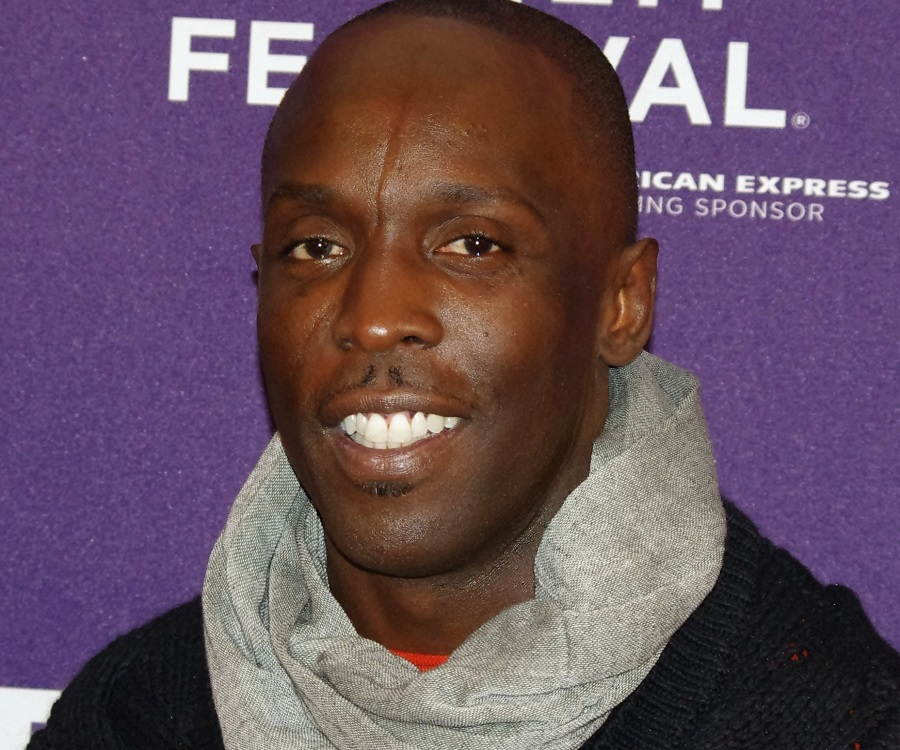 Michael K. Williams Biography - Facts, Childhood, Family 