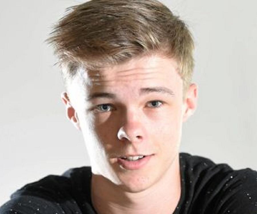 Nicholas Hamilton Biography – Facts, Childhood, Family Life of ...