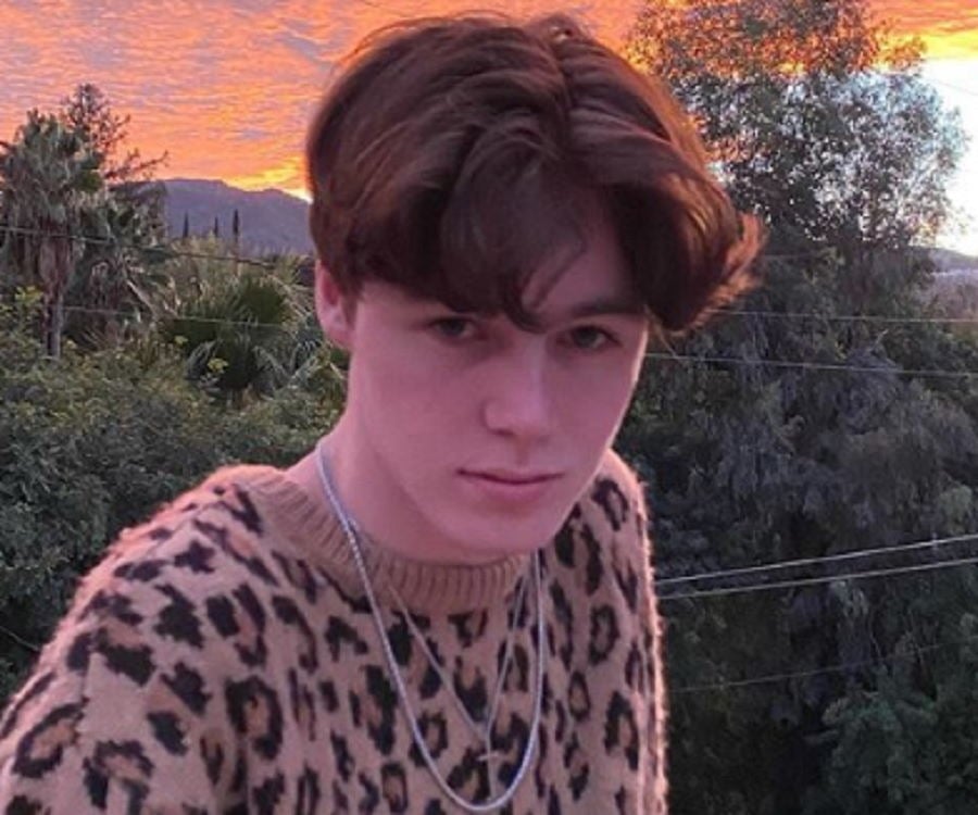 Nick Austin – Bio, Facts, Family Life of TikTok Star