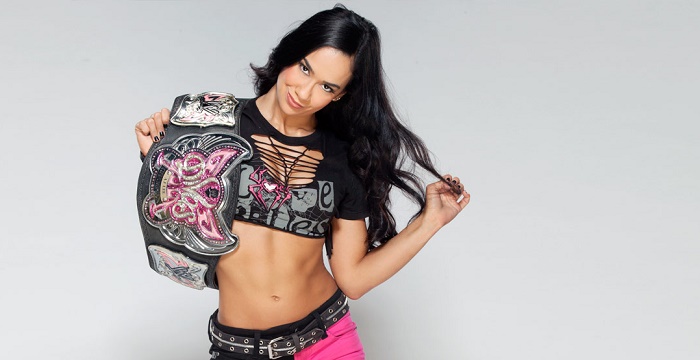 AJ Lee Biography - Facts, Childhood, Family Life & Achievements
