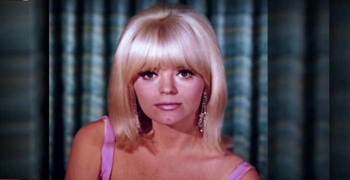 Carol Wayne Biography – Facts, Childhood, Family Life, Achievements