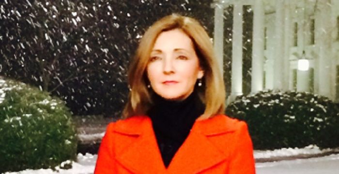 Chris Jansing - Bio, Facts, Family Life of Journalist