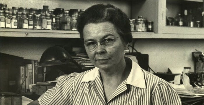 Edith Clarke Biography - Childhood, Life Achievements Edith Clarke Biography - Childhood, Life Achievements