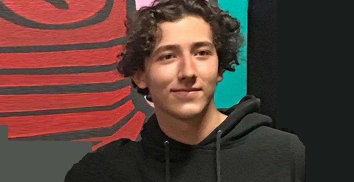 Frankie Jonas Biography - Facts, Childhood, Family Life & Achievements