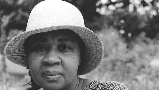 Jamaica Kincaid Biography - Childhood, Life Achievements & Timeline